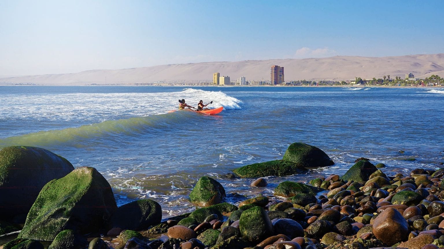 Valle de Codpa 2022 – Arica Siempre Activa