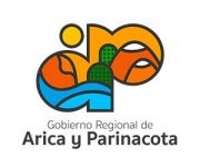 Gobierno Regional Arica y Parinacota web2