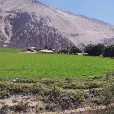 Sector Molinos en Valle de Lluta, región de Arica y Parinacota
