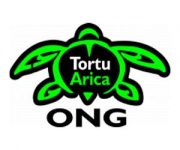 Tortu Arica ONG web2