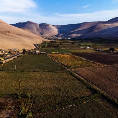 Valle de Lluta ruta CH-11 sector acceso a Molinos, región de Arica y Parinacota